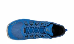 Herren LOWA Innox Evo Gtx Lo Royal/Black