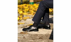Herren Solari Milano Oxford Brogue Black