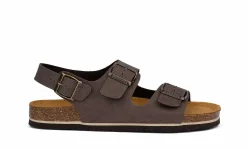 Herren Plakton Baku Marron