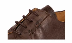 Herren Gentleberg Rob(Bert) Cap Toe Derby Dark Brown