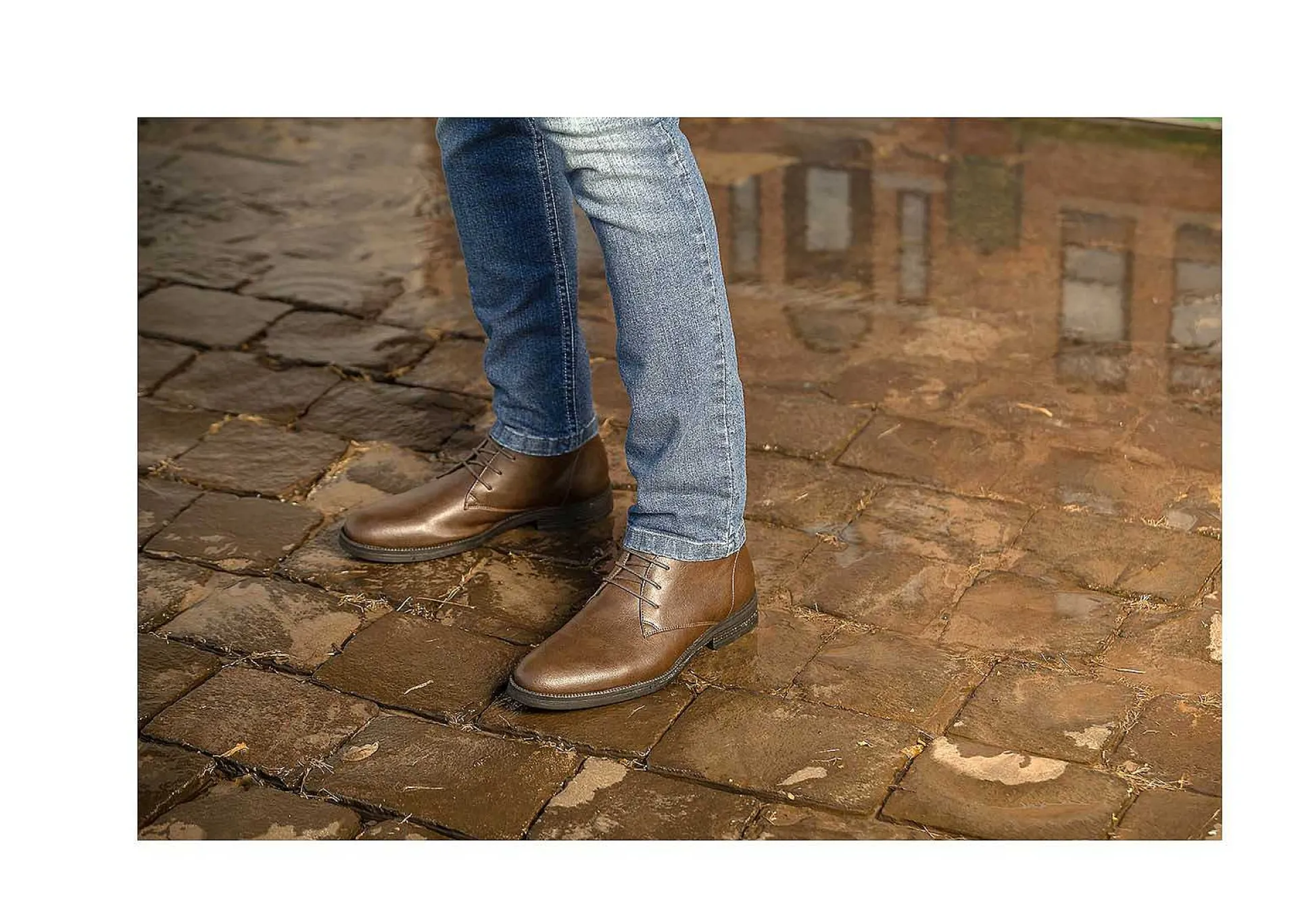 Herren Vincente Verde Tivoli Espresso