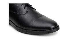 Herren Vincente Verde Velletri Black