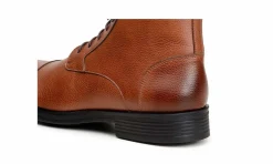 Herren Vincente Verde Velletri Brown
