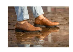 Herren Vincente Verde Viterbo Cognac